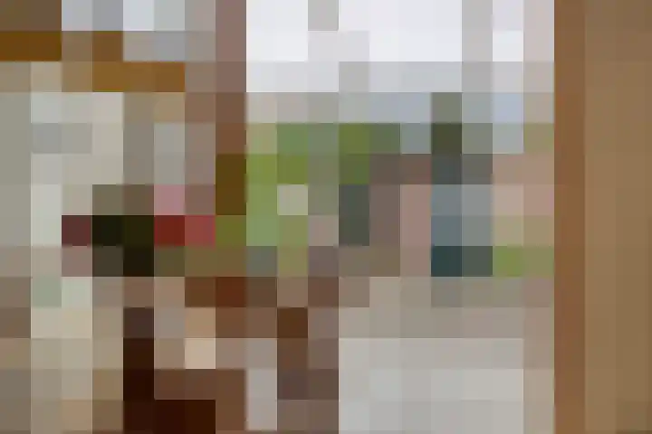 van der Werffstraat 39 Eindhoven thumbnail 9