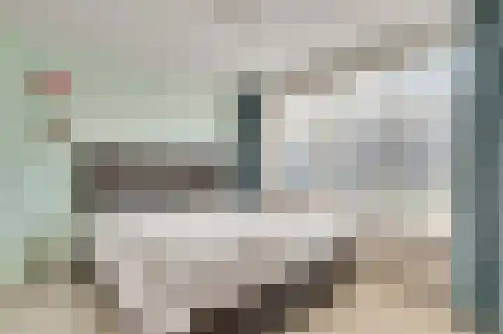 van der Werffstraat 4 Eindhoven thumbnail 13