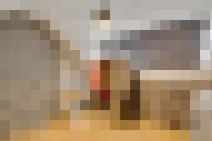 van der Werffstraat 4 Eindhoven thumbnail 20