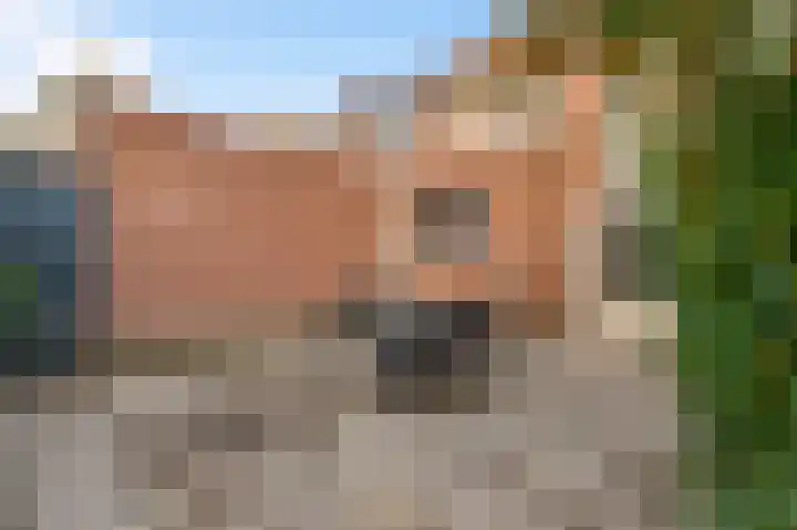 van der Werffstraat 4 Eindhoven thumbnail 22