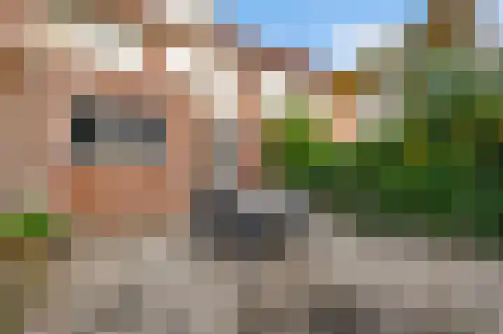 van der Werffstraat 4 Eindhoven thumbnail 23