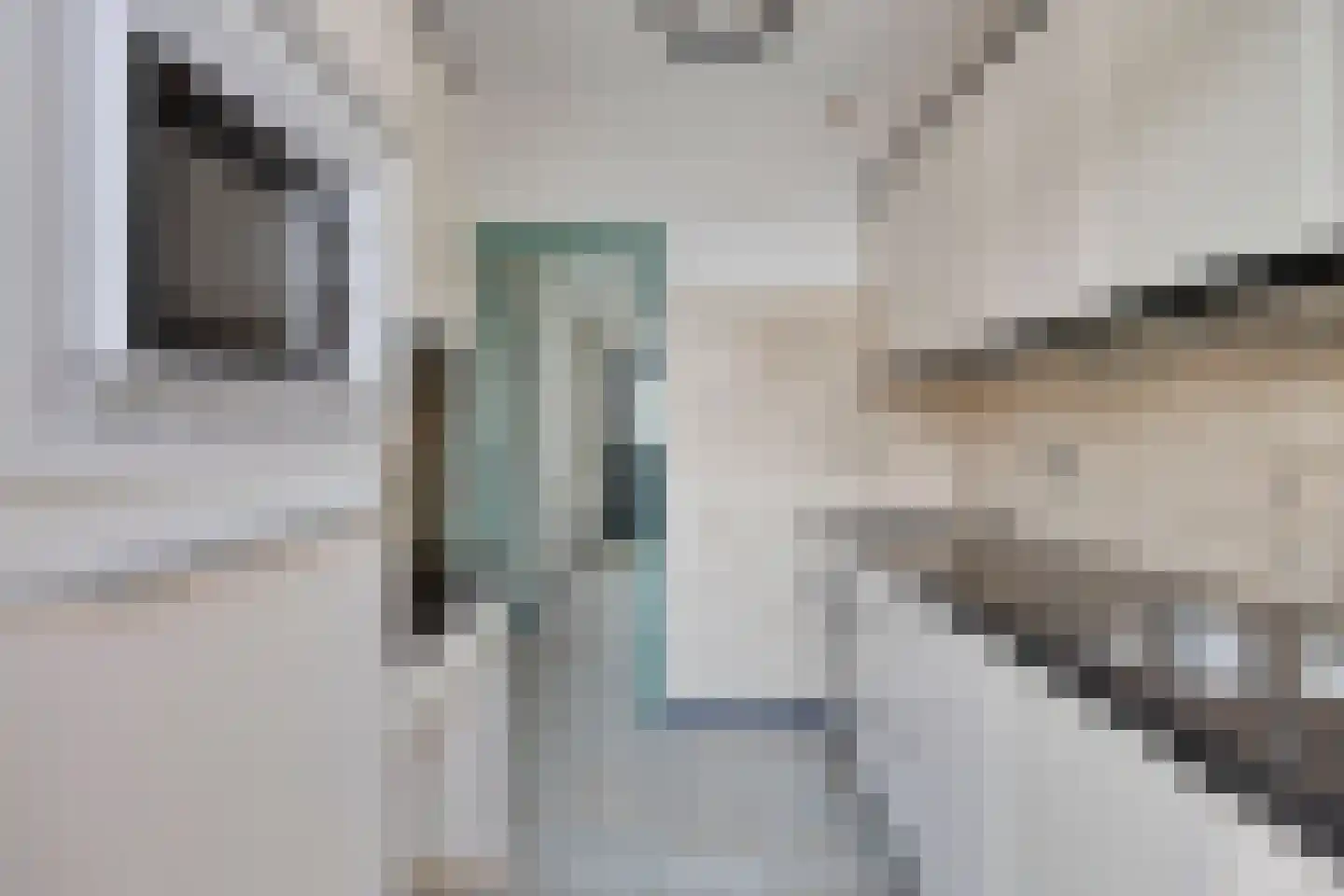 van der Werffstraat 41 Eindhoven thumbnail 14