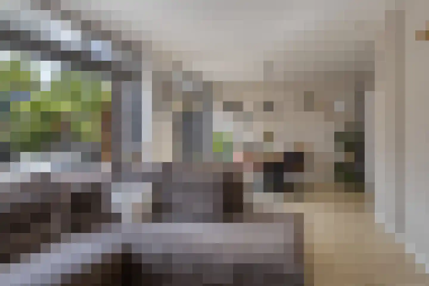 van der Werffstraat 53 Vlaardingen thumbnail 12