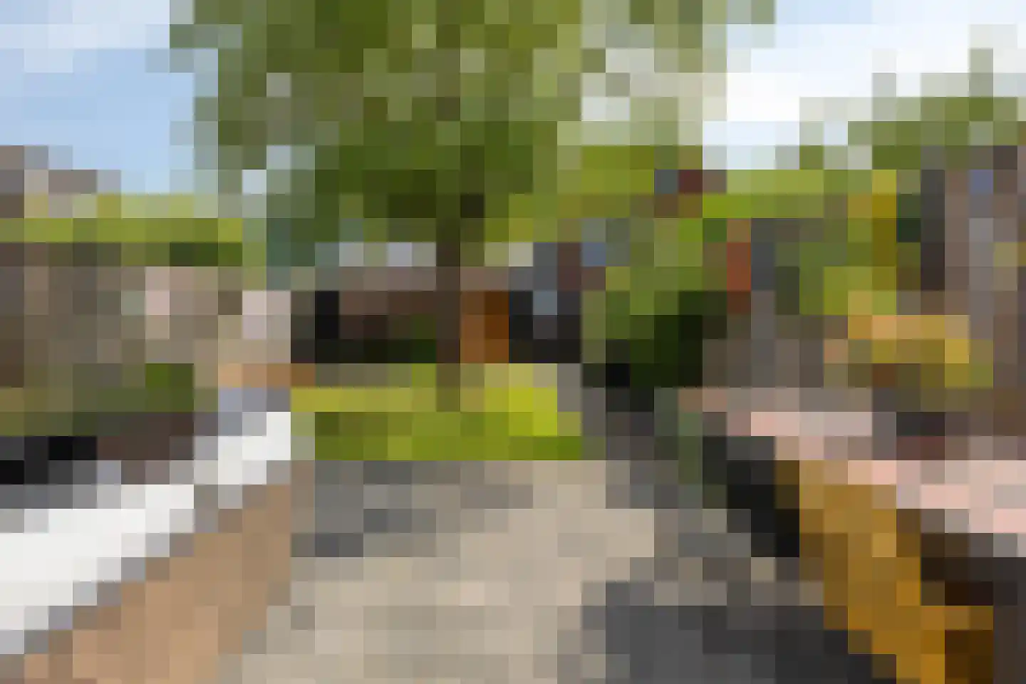 van der Werffstraat 53 Vlaardingen thumbnail 15