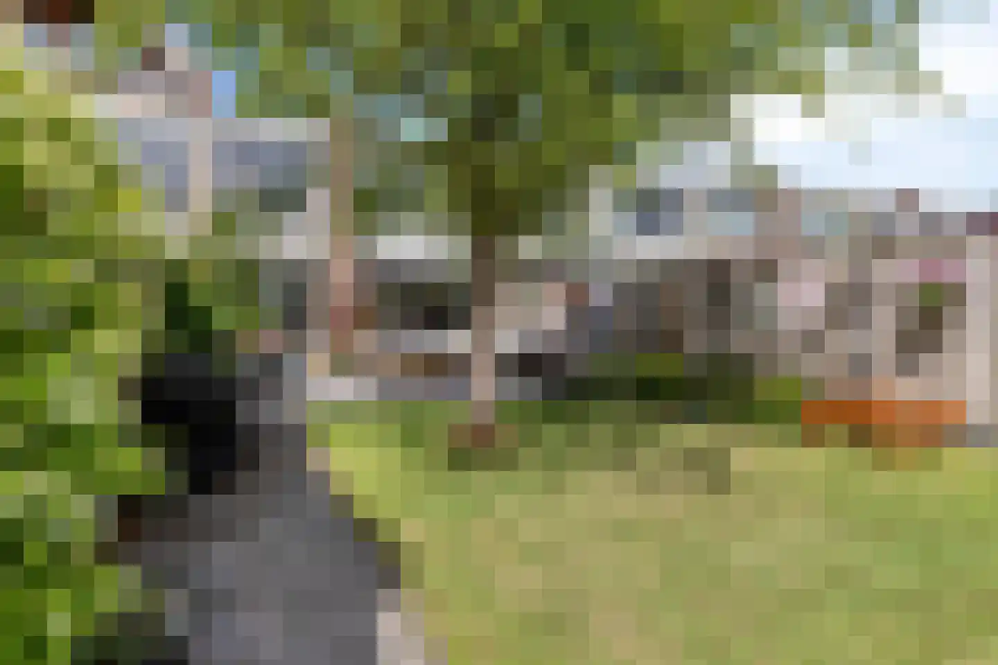 van der Werffstraat 53 Vlaardingen thumbnail 19