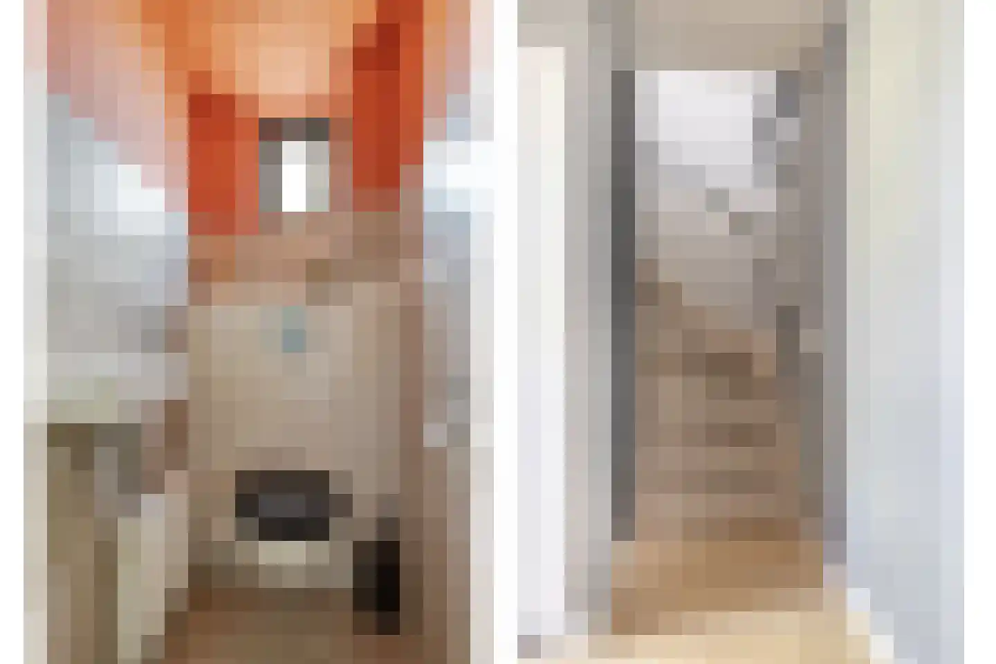 van der Werffstraat 53 Vlaardingen thumbnail 26