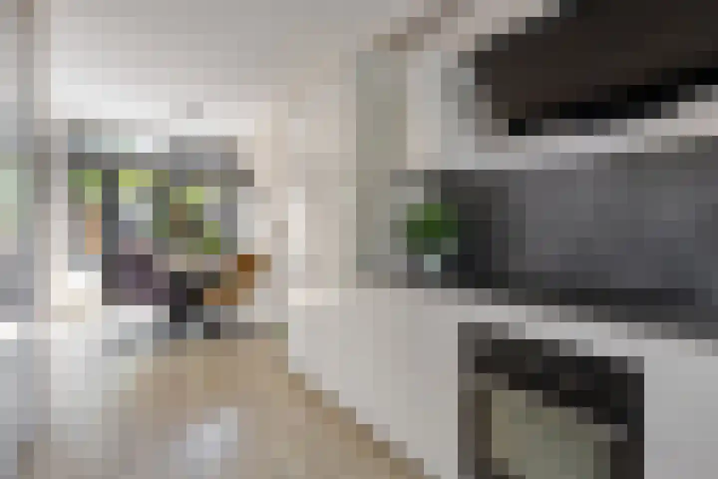 van der Werffstraat 53 Vlaardingen thumbnail 8