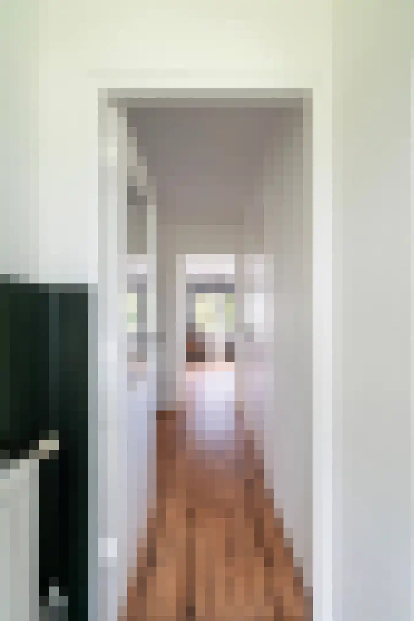 van der Werffstraat 64 Vlaardingen thumbnail 24