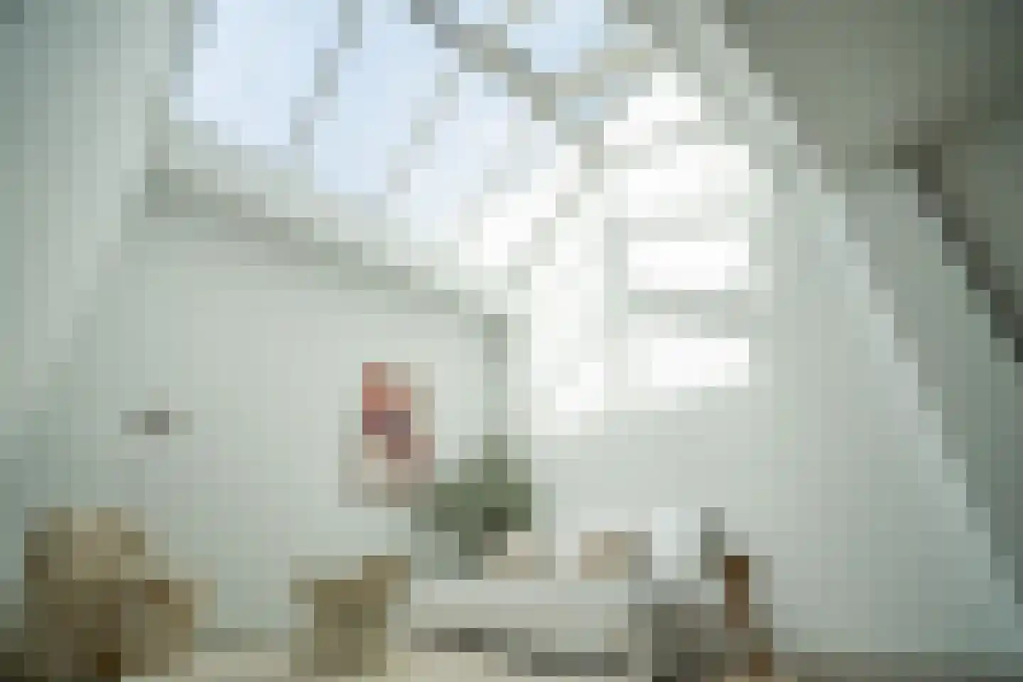 Van der Werfstraat 60 Leiden thumbnail 4