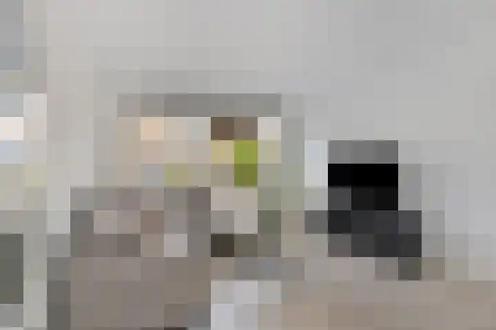 van der Werveweg 6 Geervliet thumbnail 10