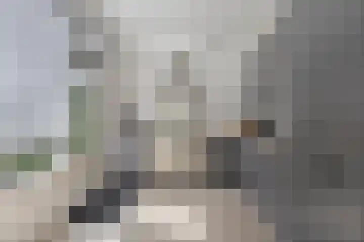 van der Werveweg 6 Geervliet thumbnail 12