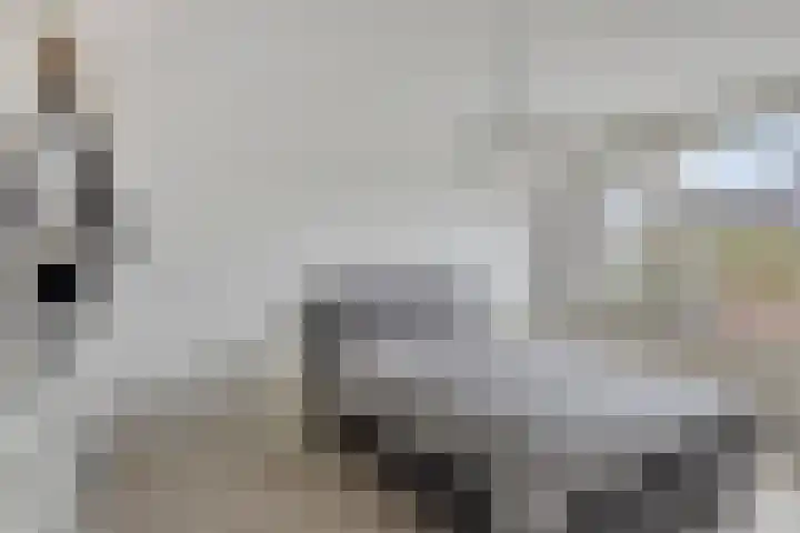 van der Werveweg 6 Geervliet thumbnail 15