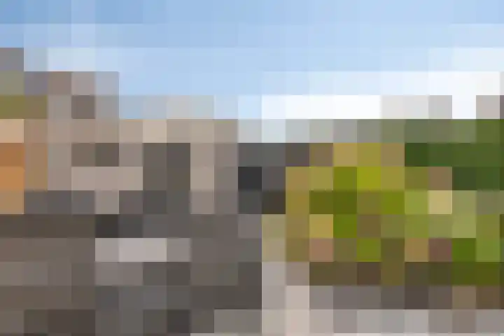 van der Werveweg 6 Geervliet thumbnail 26