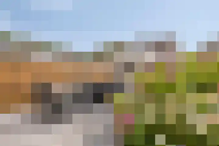 van der Werveweg 6 Geervliet thumbnail 27