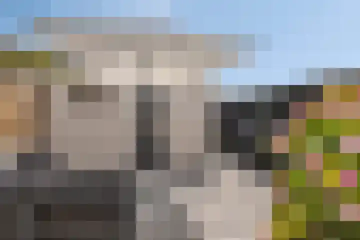 van der Werveweg 6 Geervliet thumbnail 29