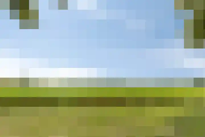 van der Werveweg 6 Geervliet thumbnail 30