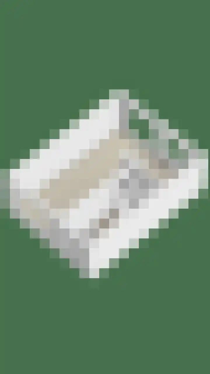 van der Werveweg 6 Geervliet thumbnail 37