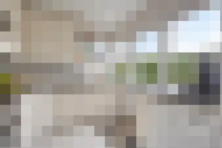 van der Weydenlaan 46 Heerhugowaard thumbnail 21
