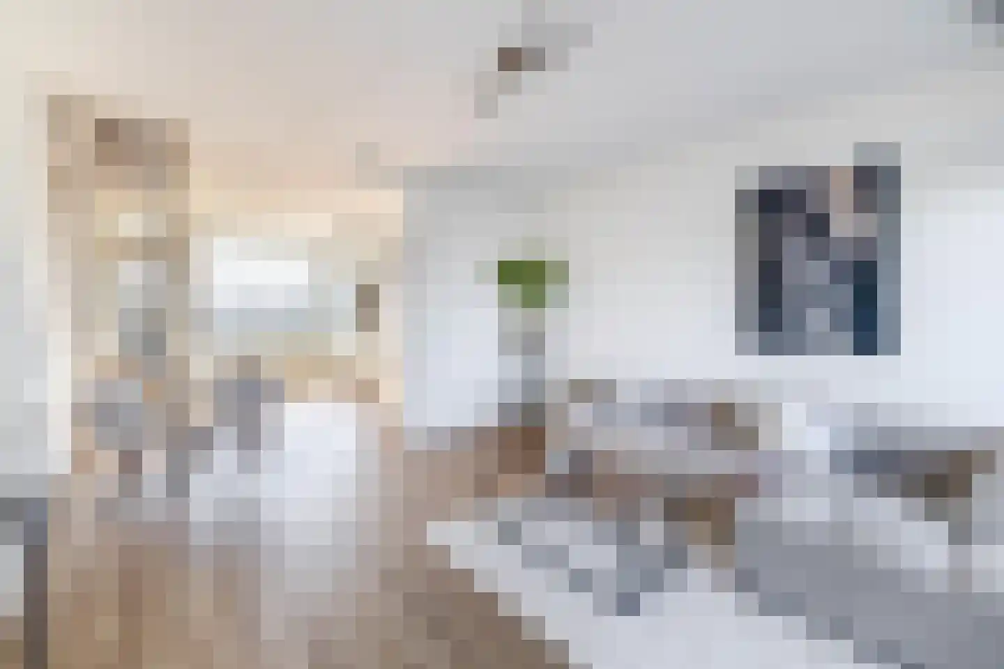 Van der Wijckplein 1 Bergen aan Zee thumbnail 11