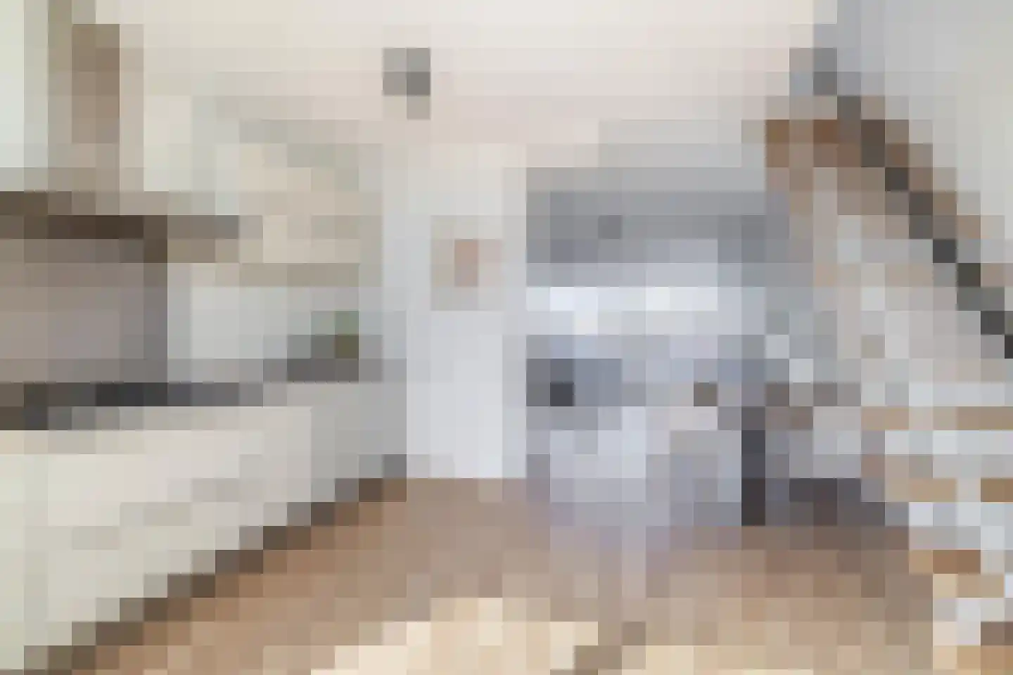 Van der Wijckplein 1 Bergen aan Zee thumbnail 17