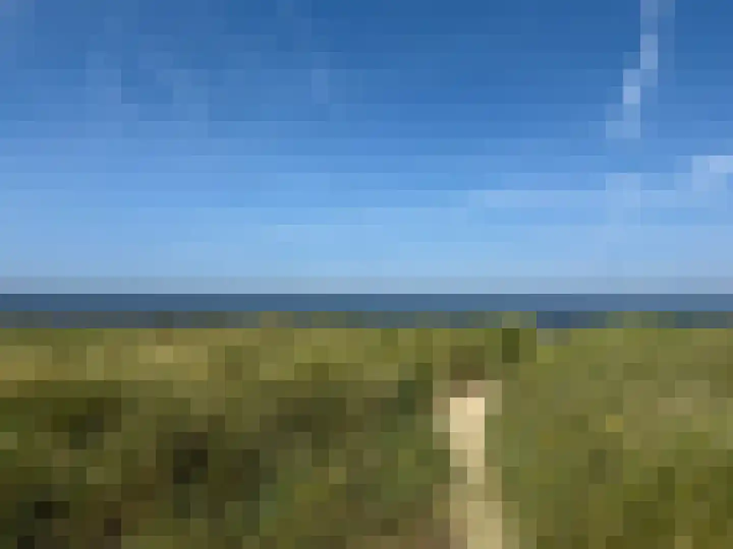 Van der Wijckplein 16 A Bergen aan Zee thumbnail 20