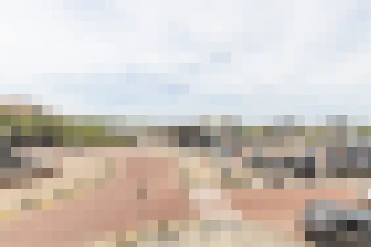 Van der Wijckplein 21 Bergen aan Zee thumbnail 23