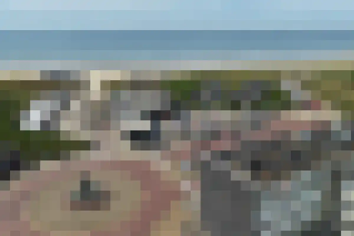 Van der Wijckplein 21 Bergen aan Zee thumbnail 29