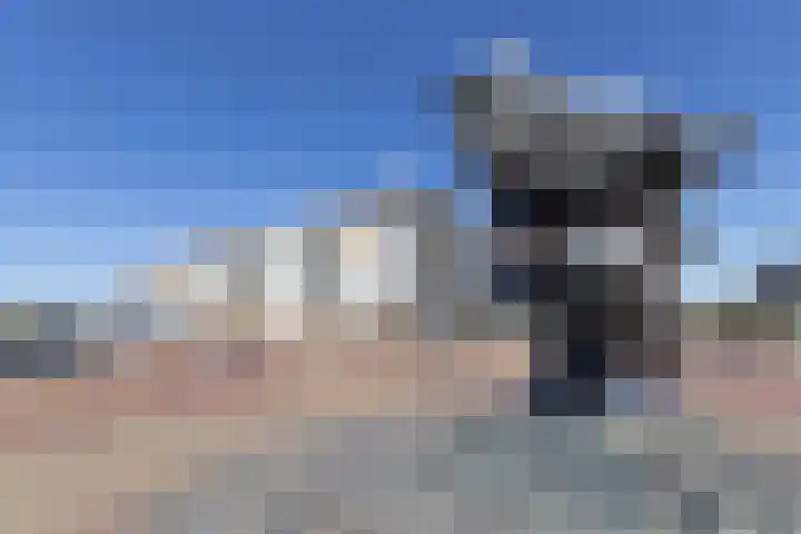 Van der Wijckplein 21 Bergen aan Zee thumbnail 41