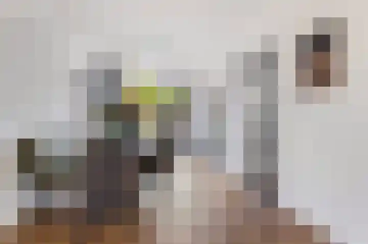 van der Wijckstraat 55 Raalte thumbnail 10