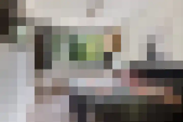 van der Wijckstraat 55 Raalte thumbnail 16