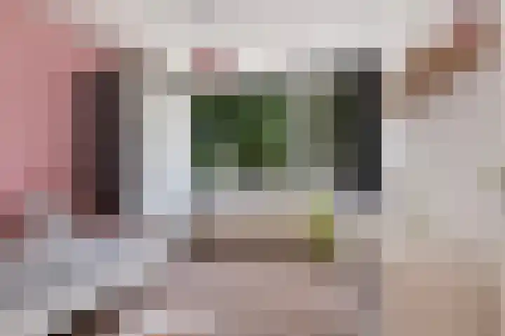 van der Wijckstraat 55 Raalte thumbnail 18