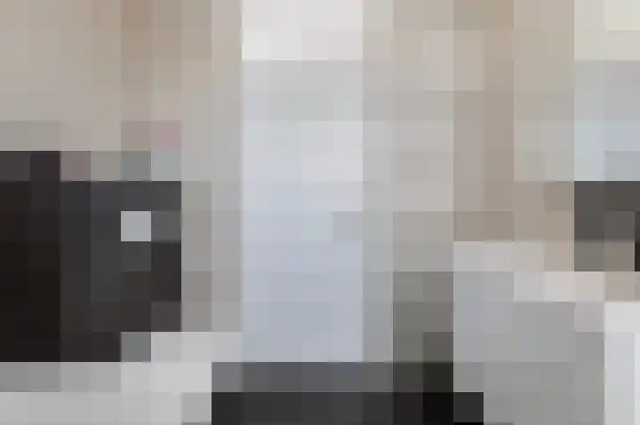 van der Wijckstraat 55 Raalte thumbnail 23
