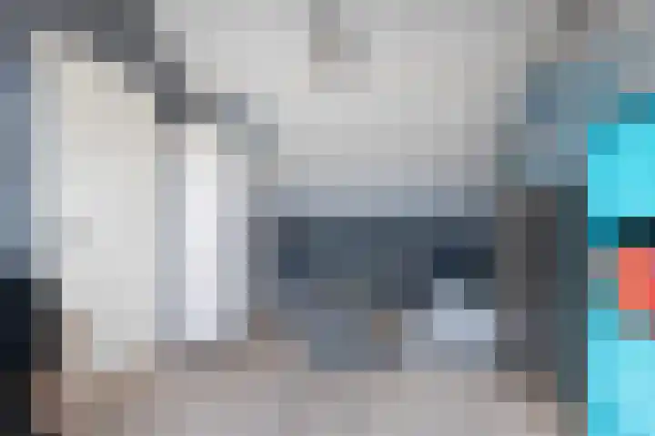 van der Wijckstraat 55 Raalte thumbnail 26