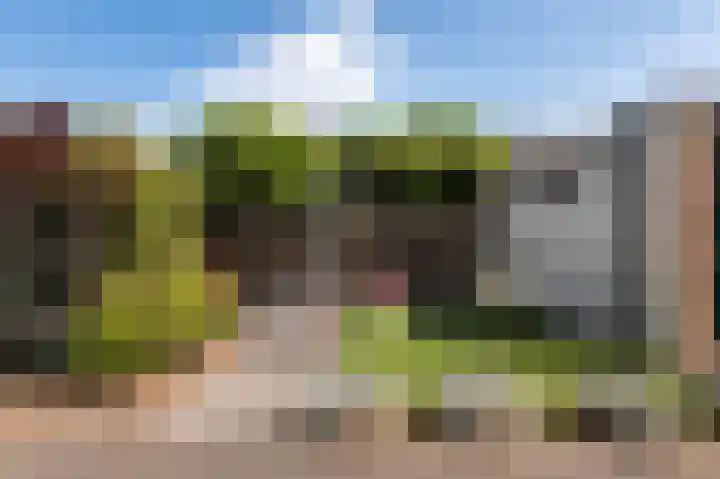 van der Wijckstraat 55 Raalte thumbnail 28