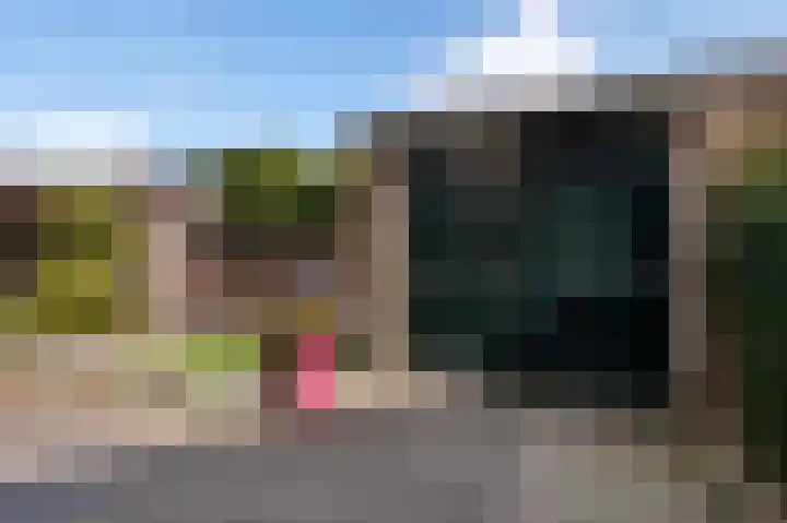 van der Wijckstraat 55 Raalte thumbnail 30