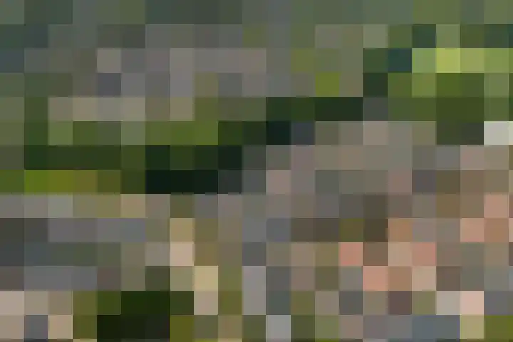 van der Wijckstraat 55 Raalte thumbnail 32