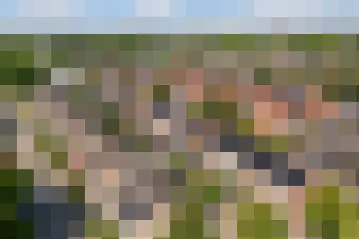 van der Wijckstraat 55 Raalte thumbnail 33