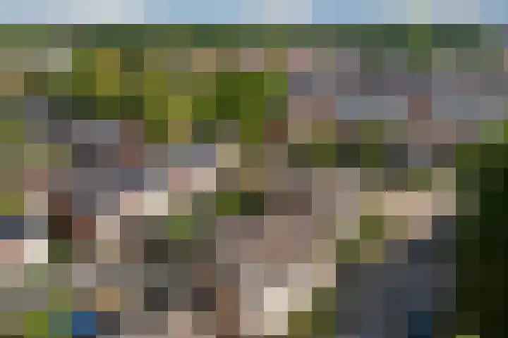 van der Wijckstraat 55 Raalte thumbnail 34