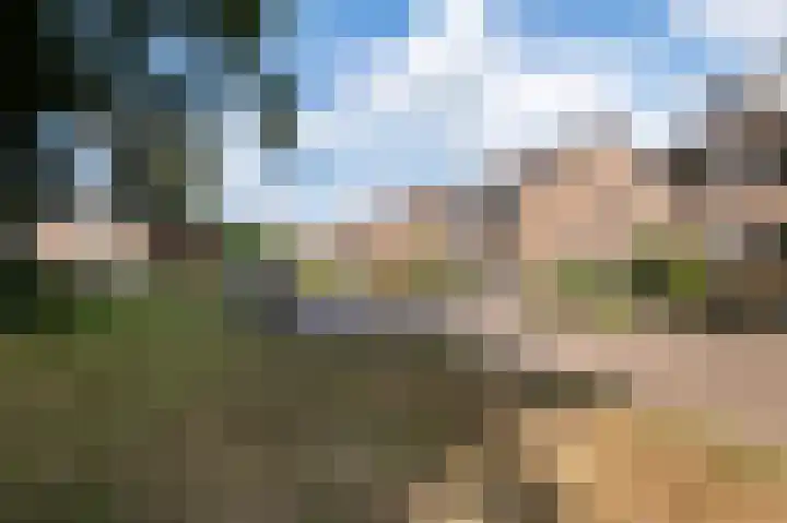 van der Wijckstraat 55 Raalte thumbnail 35