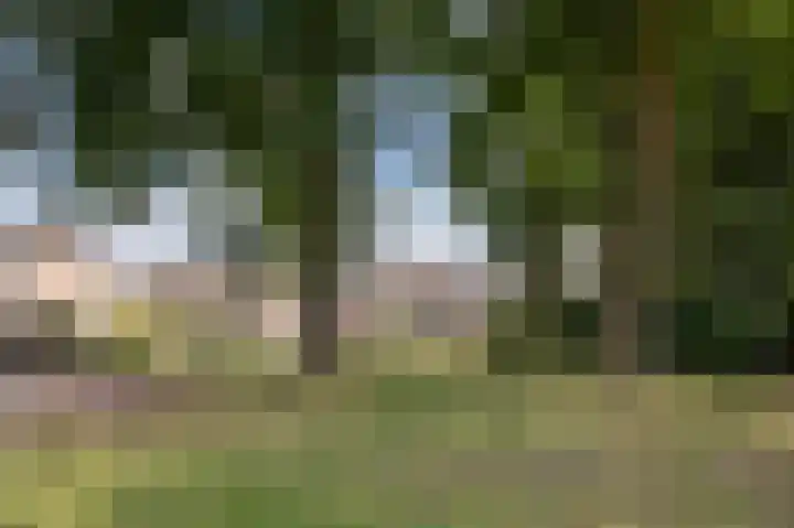 van der Wijckstraat 55 Raalte thumbnail 36