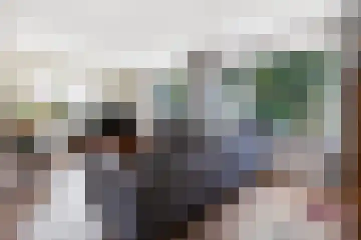 van der Wijckstraat 55 Raalte thumbnail 5