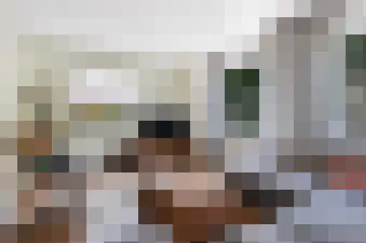 van der Wijckstraat 55 Raalte thumbnail 6