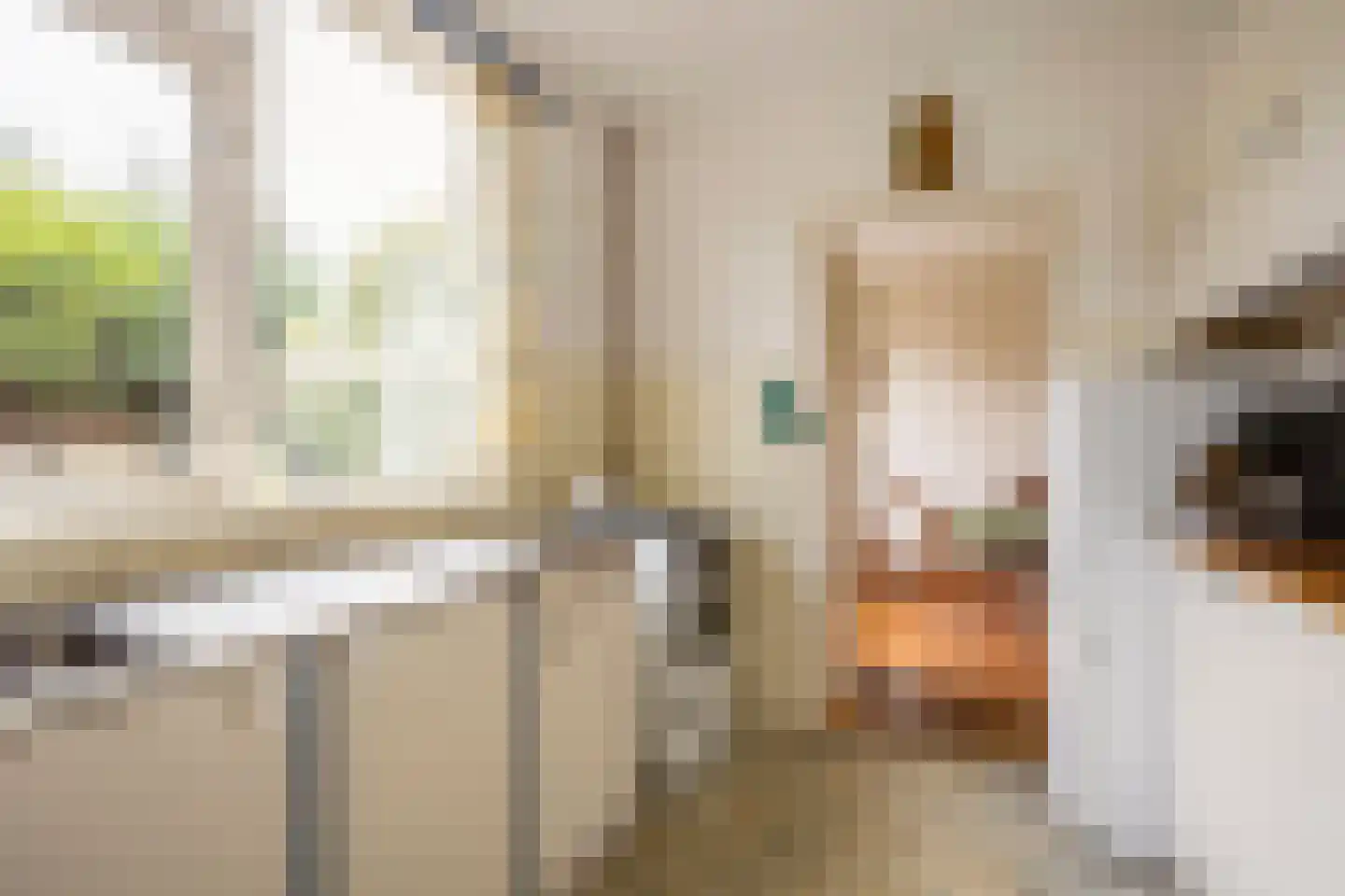 van der Wijckstraat 57 Raalte thumbnail 10
