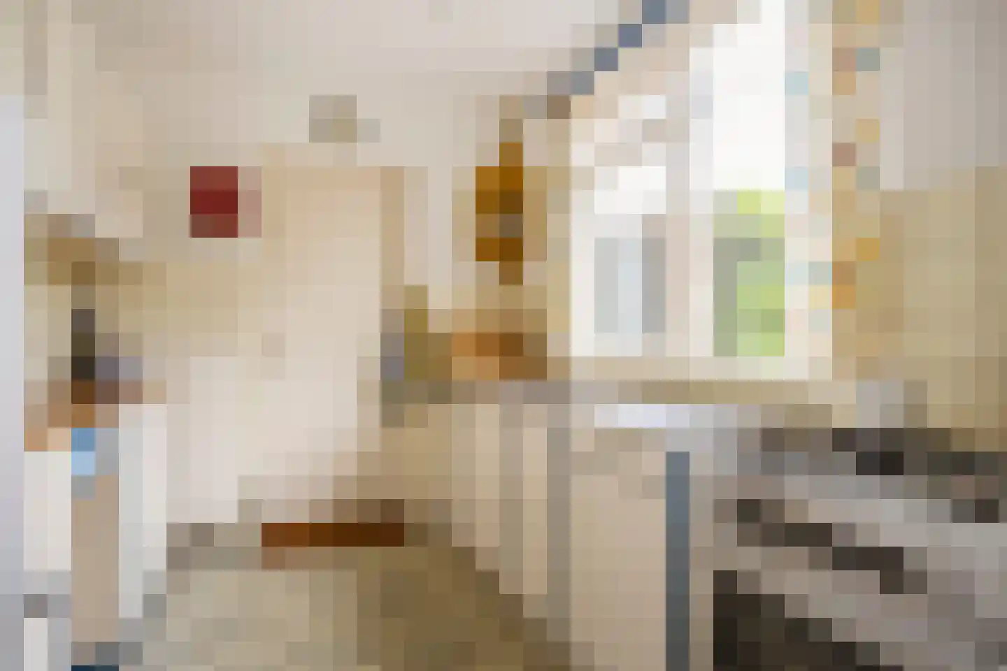 van der Wijckstraat 57 Raalte thumbnail 11