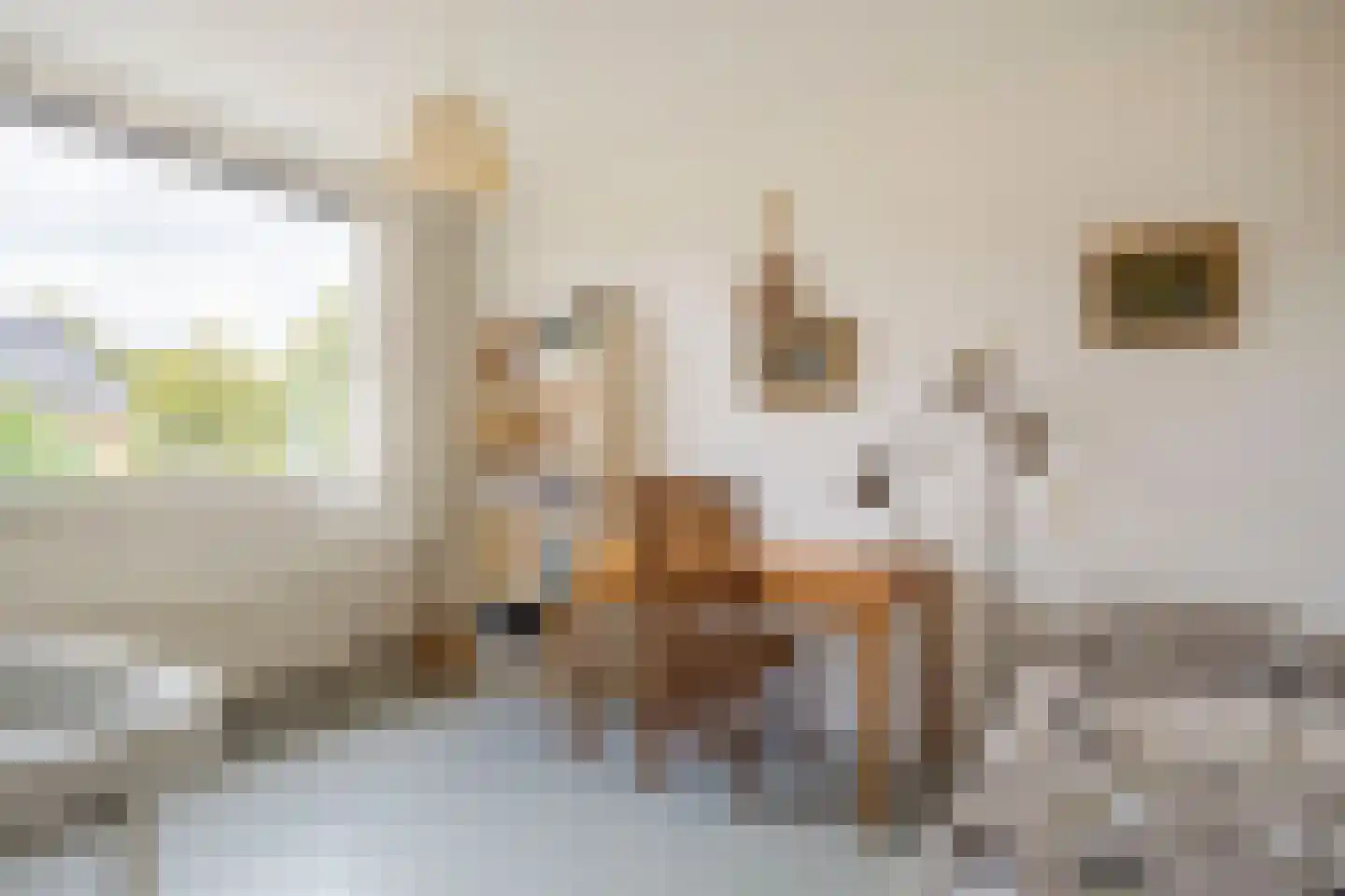 van der Wijckstraat 57 Raalte thumbnail 15