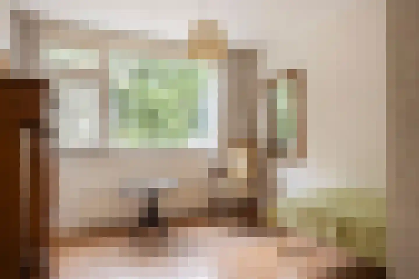 van der Wijckstraat 57 Raalte thumbnail 16