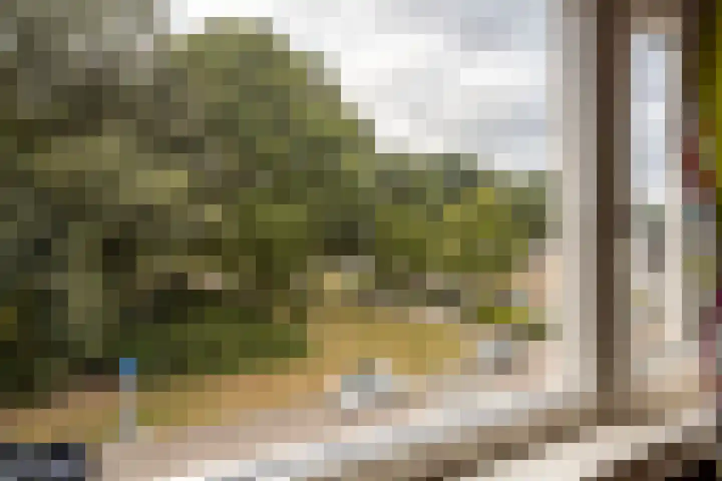 van der Wijckstraat 57 Raalte thumbnail 17