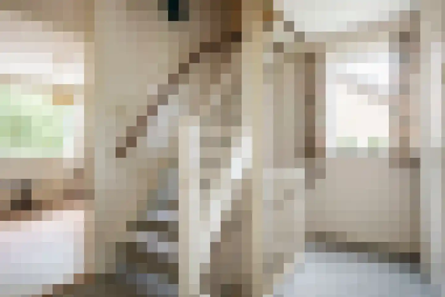van der Wijckstraat 57 Raalte thumbnail 20
