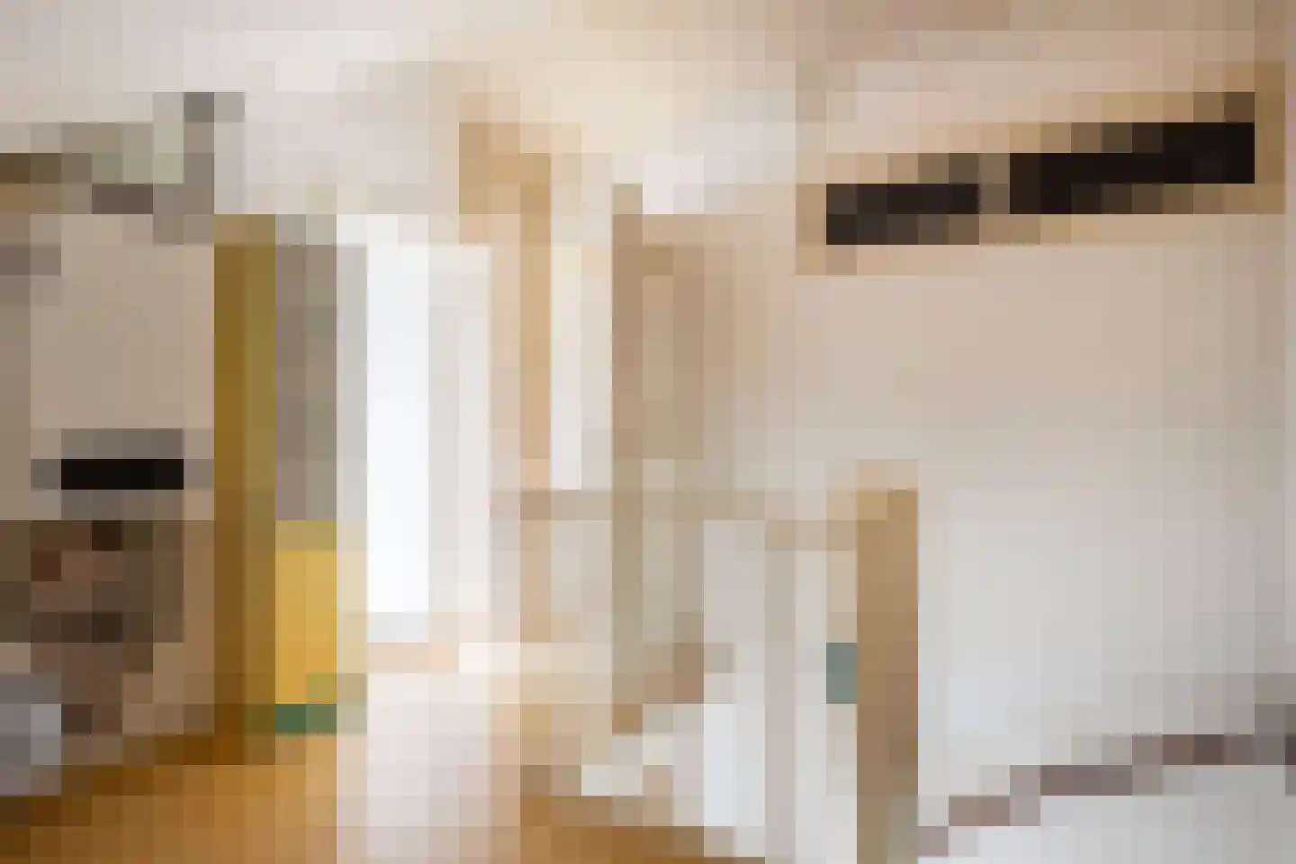 van der Wijckstraat 57 Raalte thumbnail 23