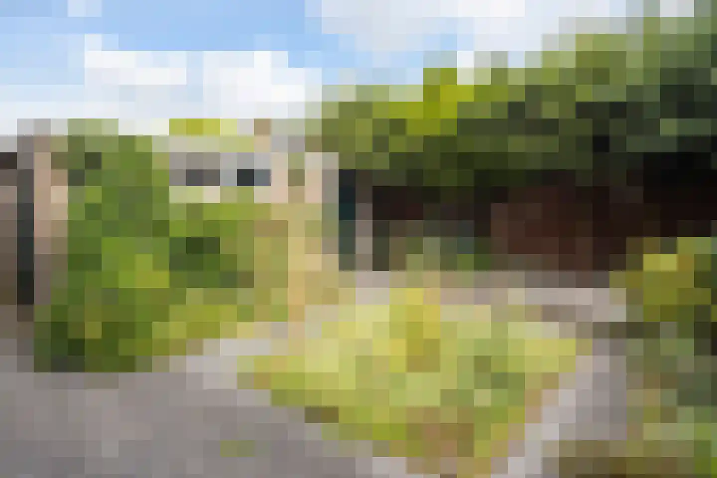 van der Wijckstraat 57 Raalte thumbnail 25